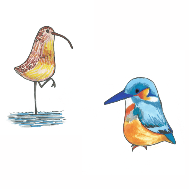 Hand-Drawn A6 Greeting Cards – Individual or Pack Options