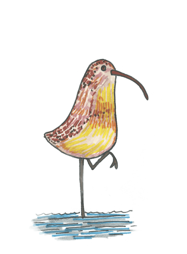 Hand-Drawn A6 Greeting Cards – Individual or Pack Options