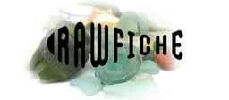 Business name: rawfiche with letter shaped into a Fish cut out with Seaglass behind.