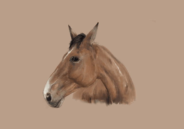 Print: Heart Horse 